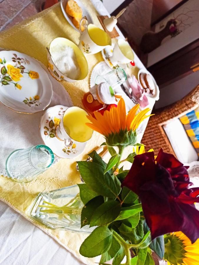 B&B Va...Lentina Piavata Zewnętrze zdjęcie