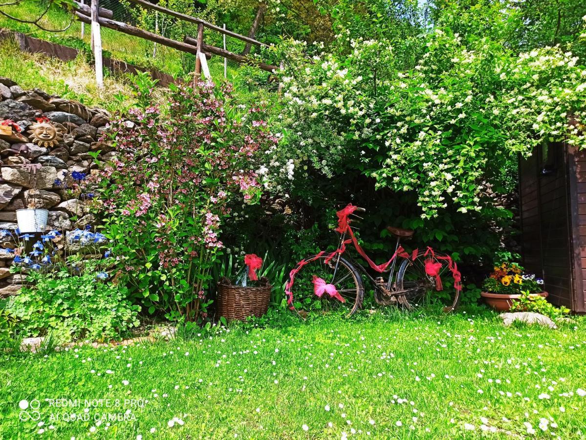 B&B Va...Lentina Piavata Zewnętrze zdjęcie