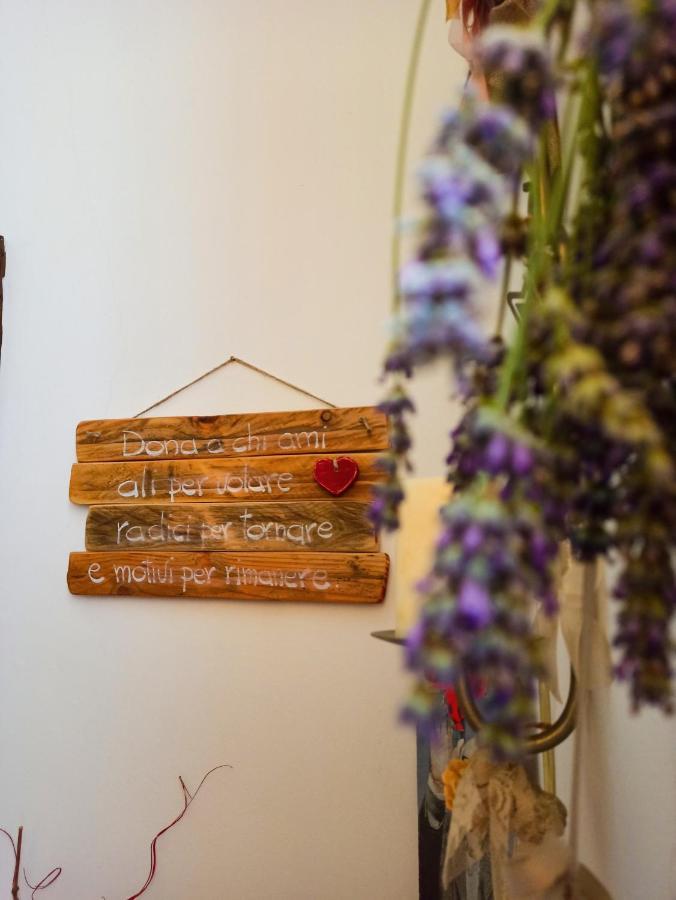 B&B Va...Lentina Piavata Zewnętrze zdjęcie